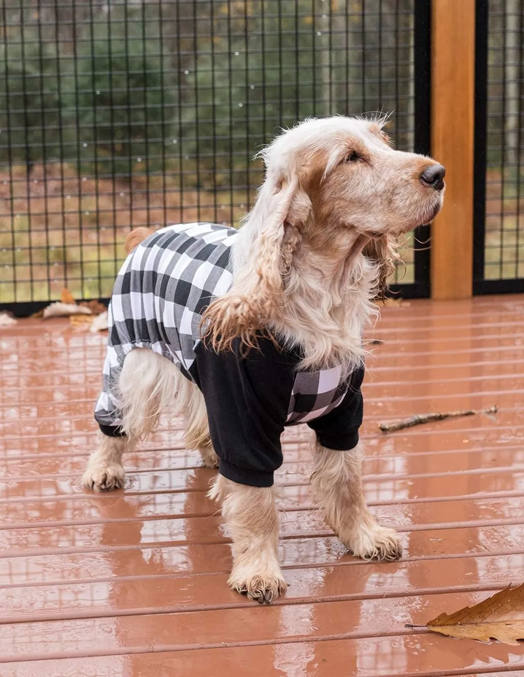 Leveret Dog Pajamas 100% Cotton Black & White Plaid (Size Medium)
